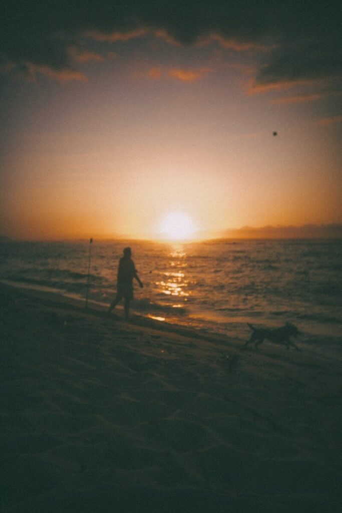 Person and dog on beach at sunset